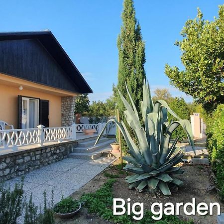 Mediterranean House 50M From The Sea Nin Dış mekan fotoğraf